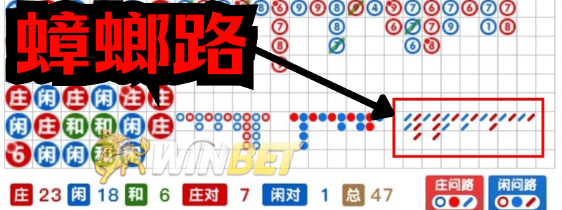百家樂看路５：蟑螂路(甲由路)